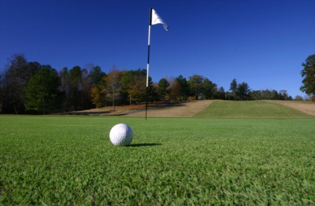 Palm Harbor Golf