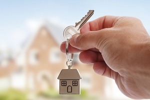 Palm Harbor Real Estate