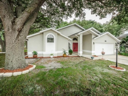 New Listing 890 Kriswell Court - Palm Harbor