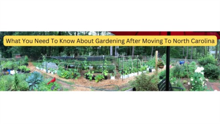 What You Need To Know About Gardening After Moving To North Carolina