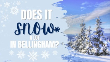 Does it snow a lot in Bellingham, WA?