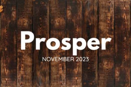 Prosper Tx Real Estate Market - November 2023