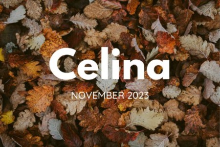 Celina Tx Real Estate Market - November 2023