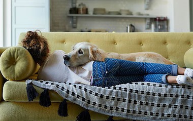 Why Pet-Friendly Homes Are in High Demand