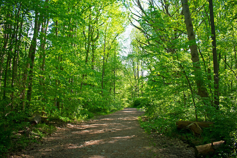 6 Best Trails Near Sayreville: Find Your Adventure