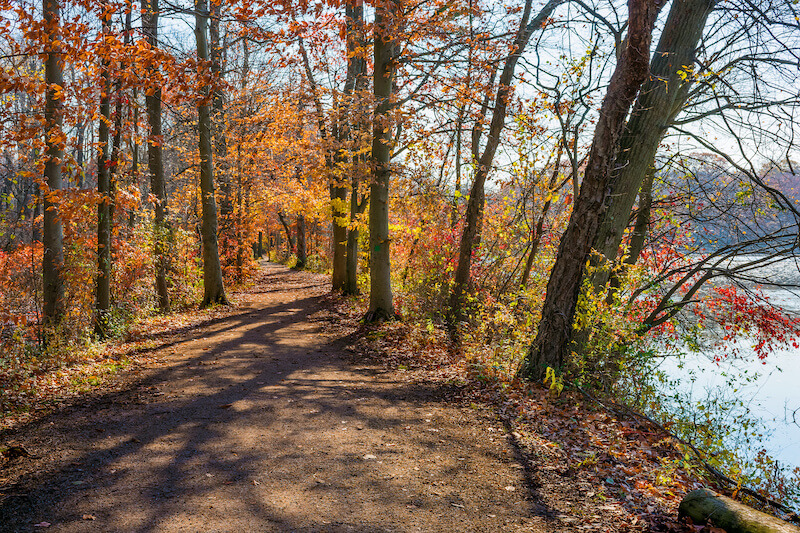 6 Hiking Walking Trails Near Manalapan 2024   Lake Topanemus 