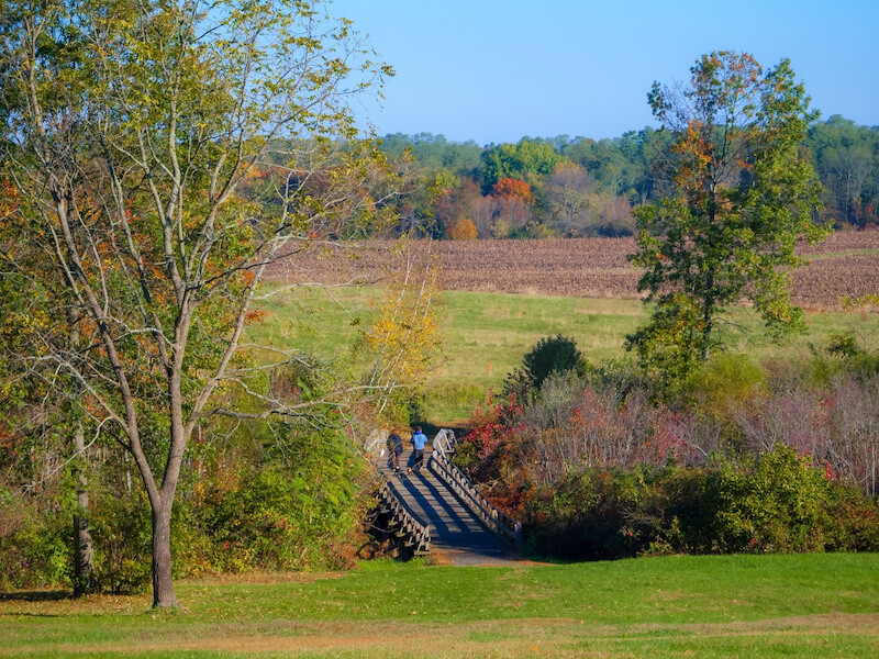 Trails at Monmouth Battlefield State Park