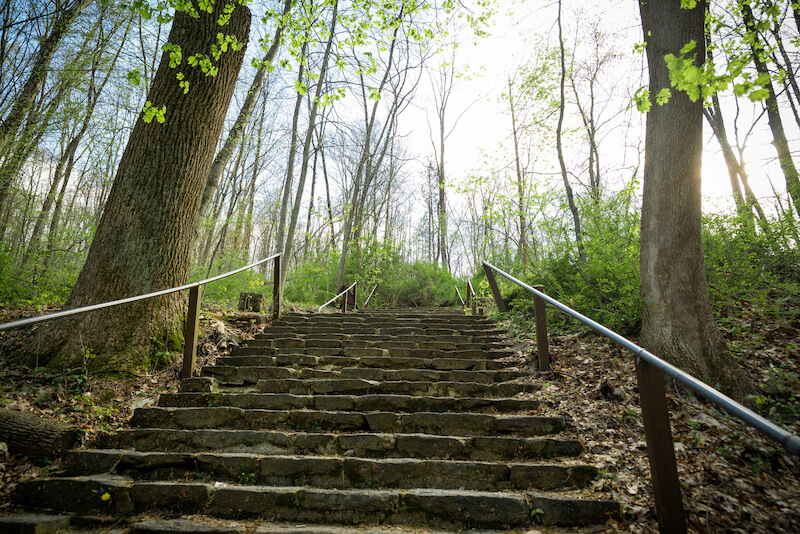 Enjoy the Outdoors With New Jersey's Hiking Trails