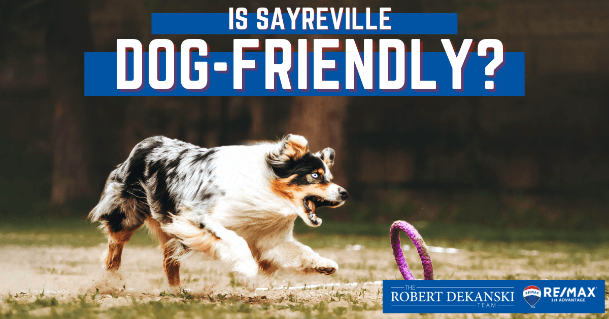 Dog-Lover's Guide to Sayreville: Best Dog Parks & Pet-Friendly Places