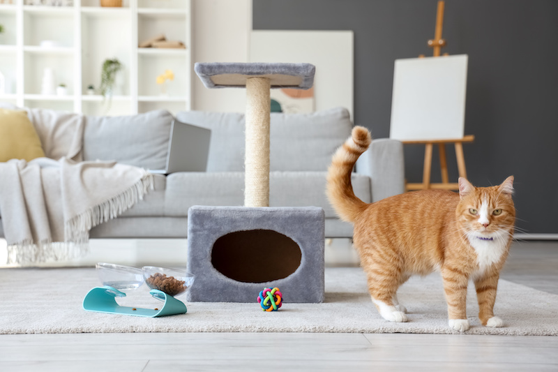 How to Sell a Home With Pets Living in It