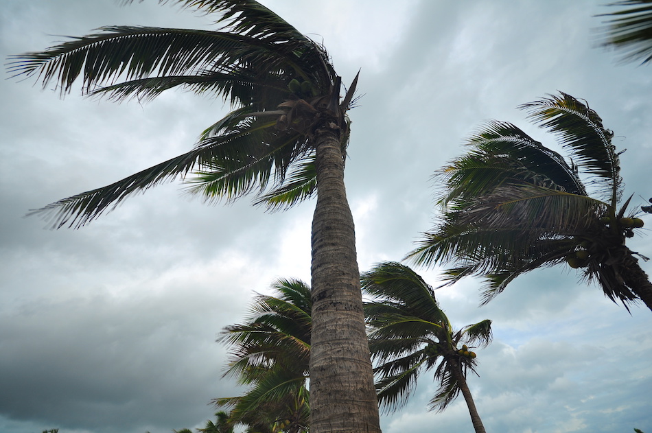 Fortifying Your Home For High Winds 