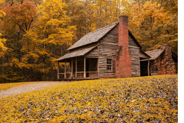 When and Where To See The Fall Colors in East TN