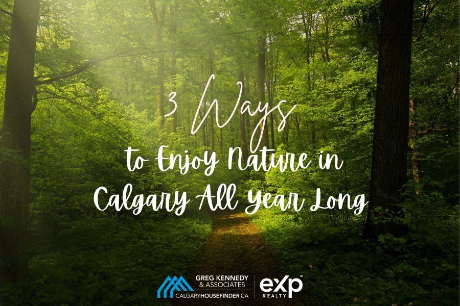 3 Ways to Enjoy Nature in Calgary All Year Long