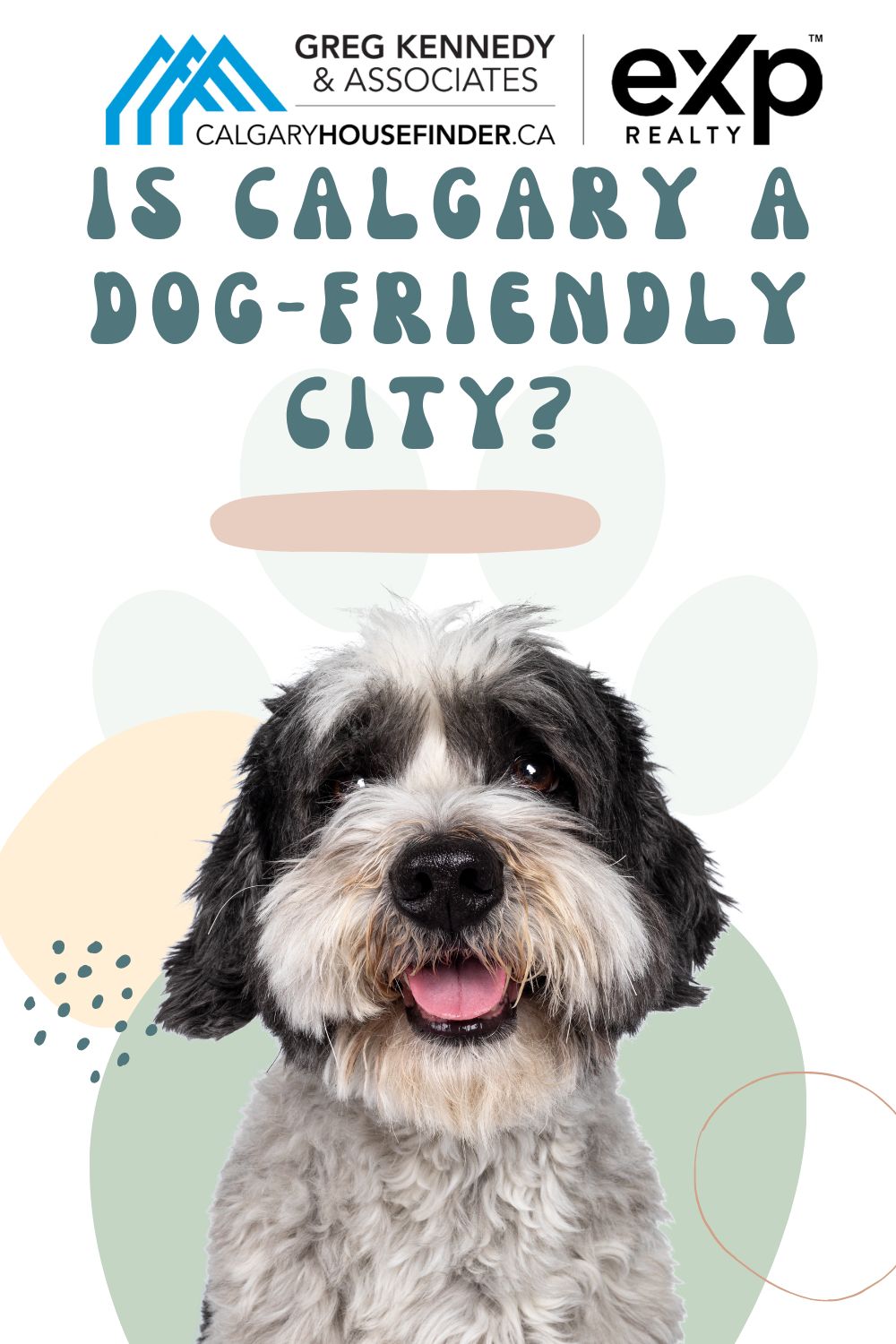 Is Calgary a Dog-Friendly City 