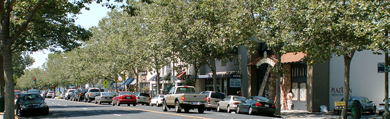 Willow Glen - Lincoln Ave