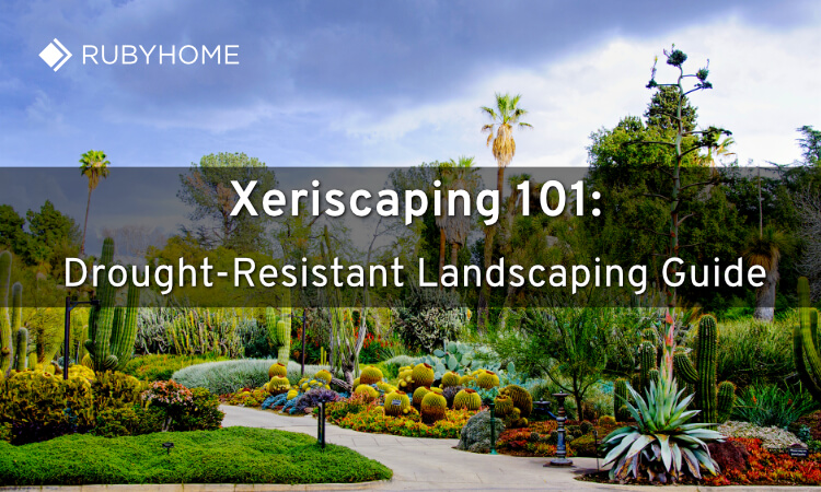 drought-resistant-landscaping-guide