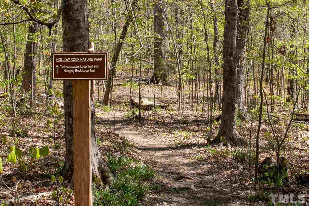 trail leading through green wooded area