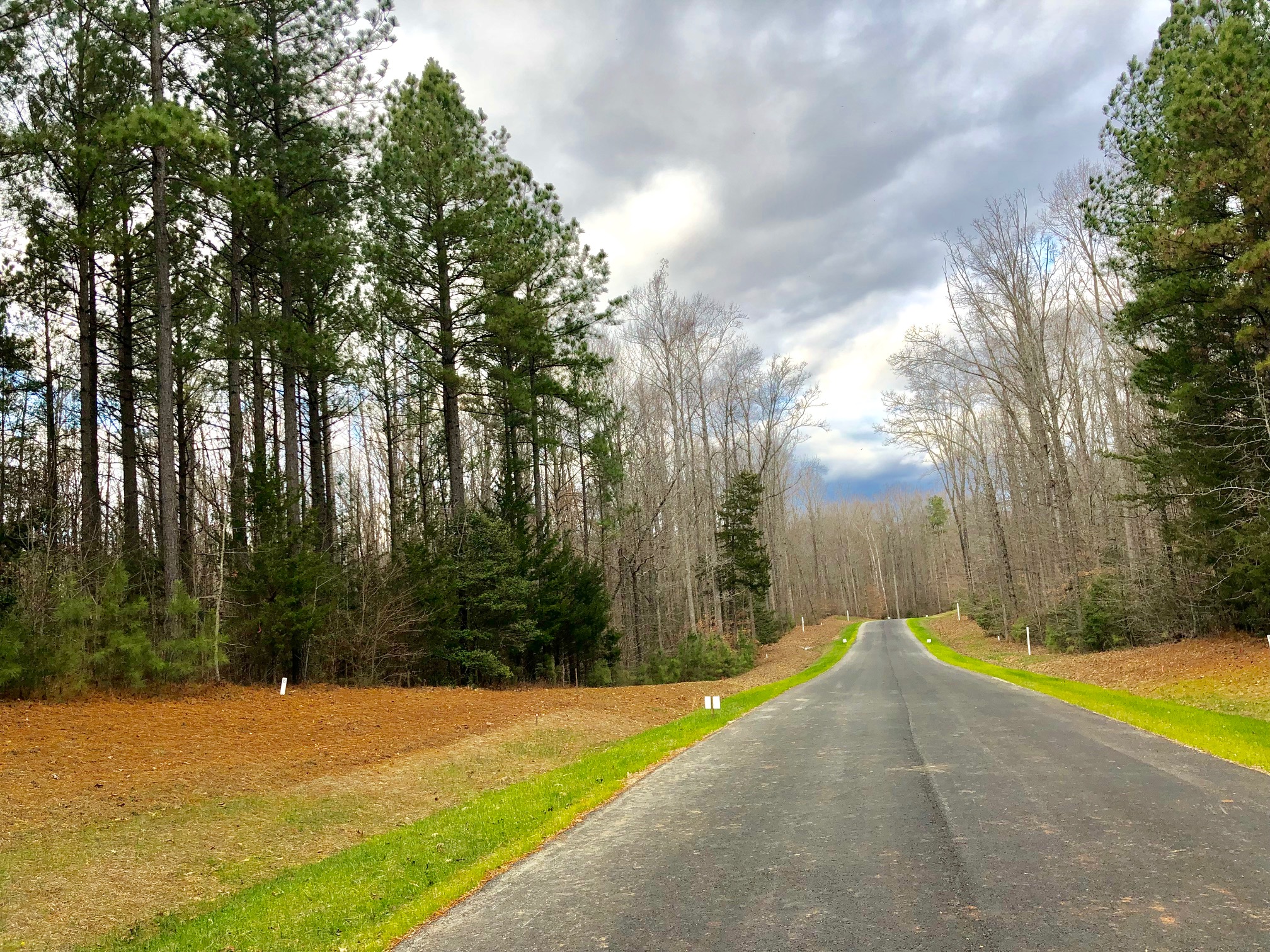 Road