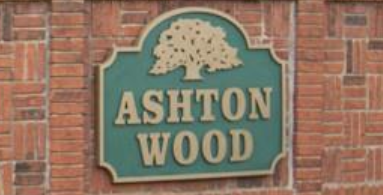 Ashton Wood