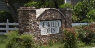 Berkeley Forest