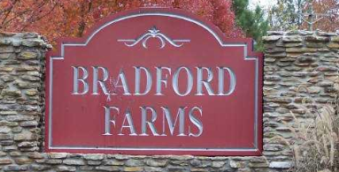 Bradford Farms Homes for Sale in Buford, GA