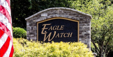 Eagle Watch
