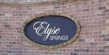 Elyse Springs