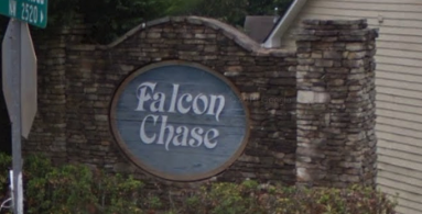 Falcon Chase