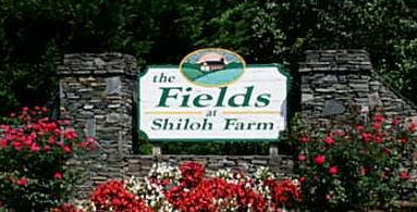 Fields At Shiloh
