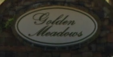 Golden Meadows