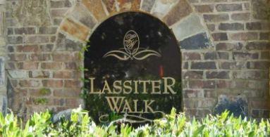 Discover Lassiter Place  New Homes in East Cobb, GA