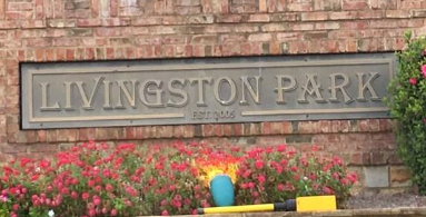 Livingston Park