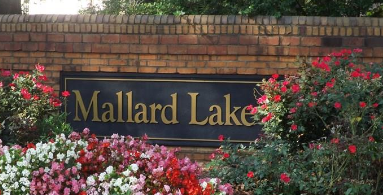 Mallard Lake
