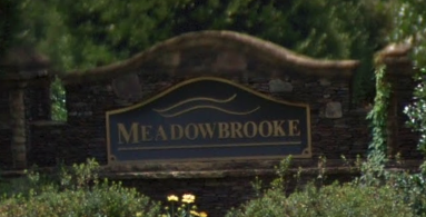 Meadow Brooke