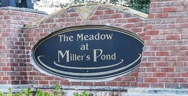 Meadow at Millers Pond