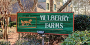 Mulberry Farms
