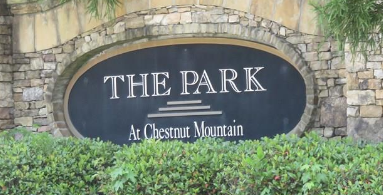 The Park at Chestnut Mountain Homes for Sale in Flowery Branch, GA