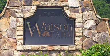 Watson Farms Homes for Sale in Loganville, GA