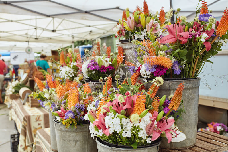 Celebrate the Seasons A Guide to Boulder Fall Festivals & More