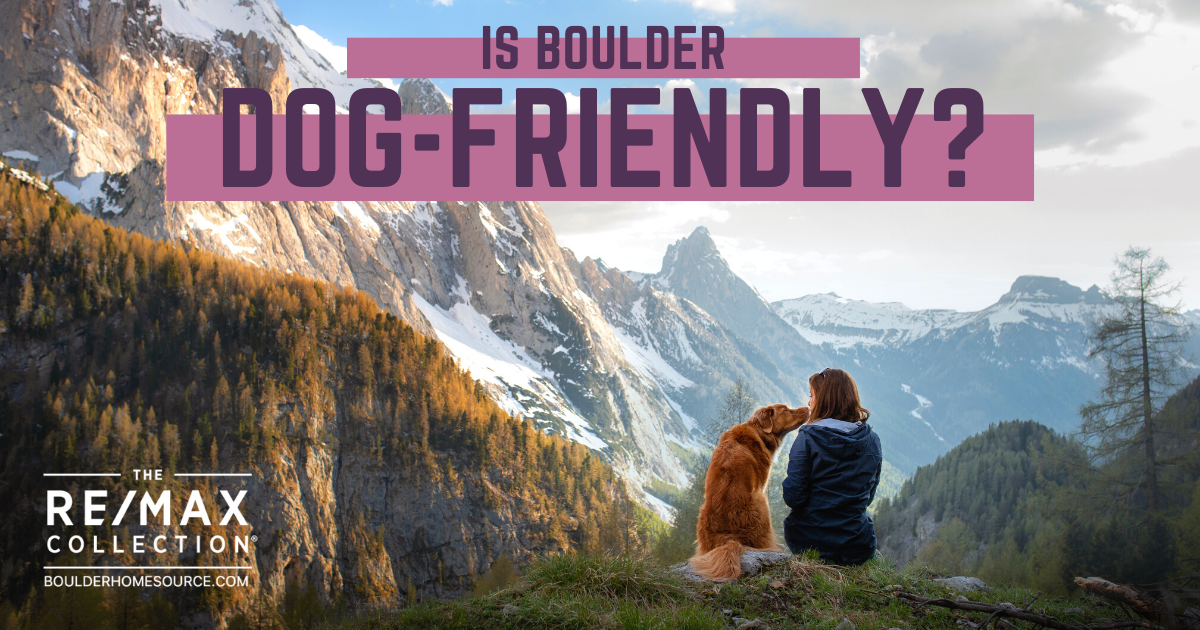 Is Boulder Dog-Friendly?