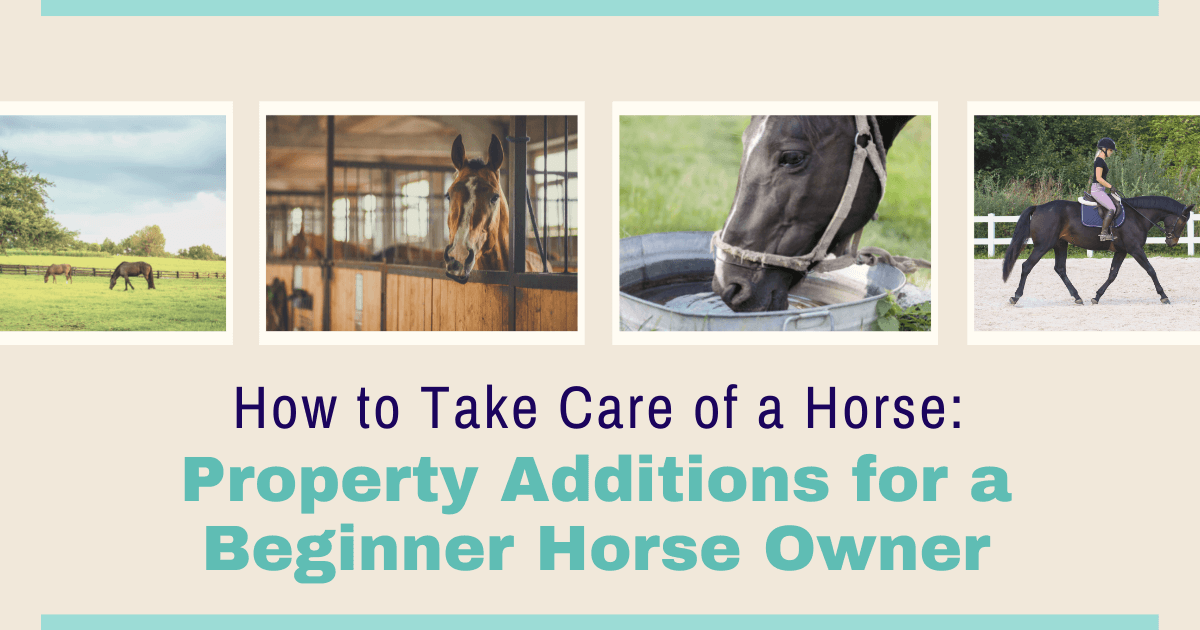 How to Prepare a Property for Horses