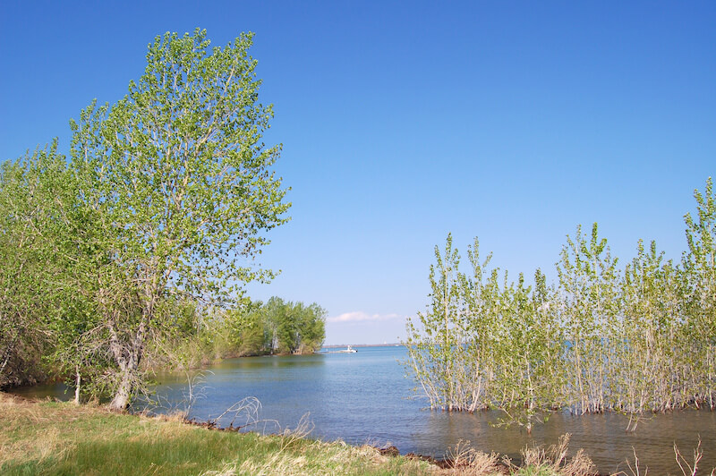 Visit Standley Lake Regional Park's Hiking Trails