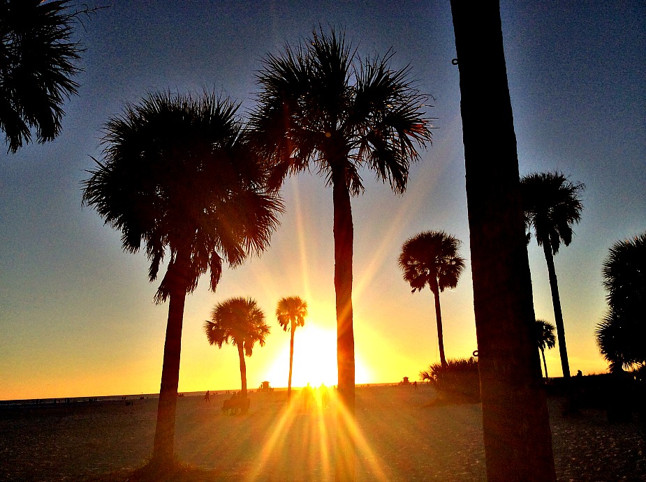 siesta key sunset