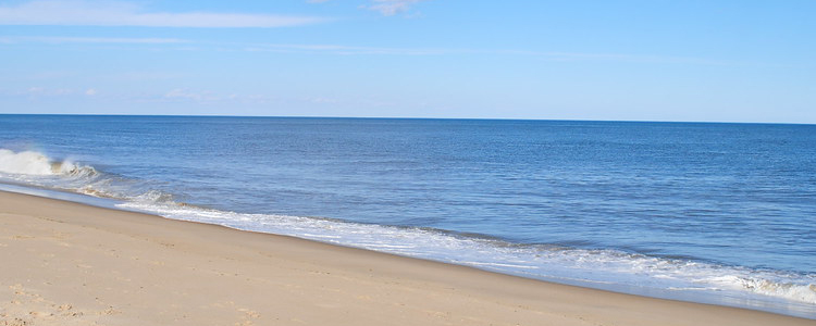 What Delaware Beaches Allow Dogs