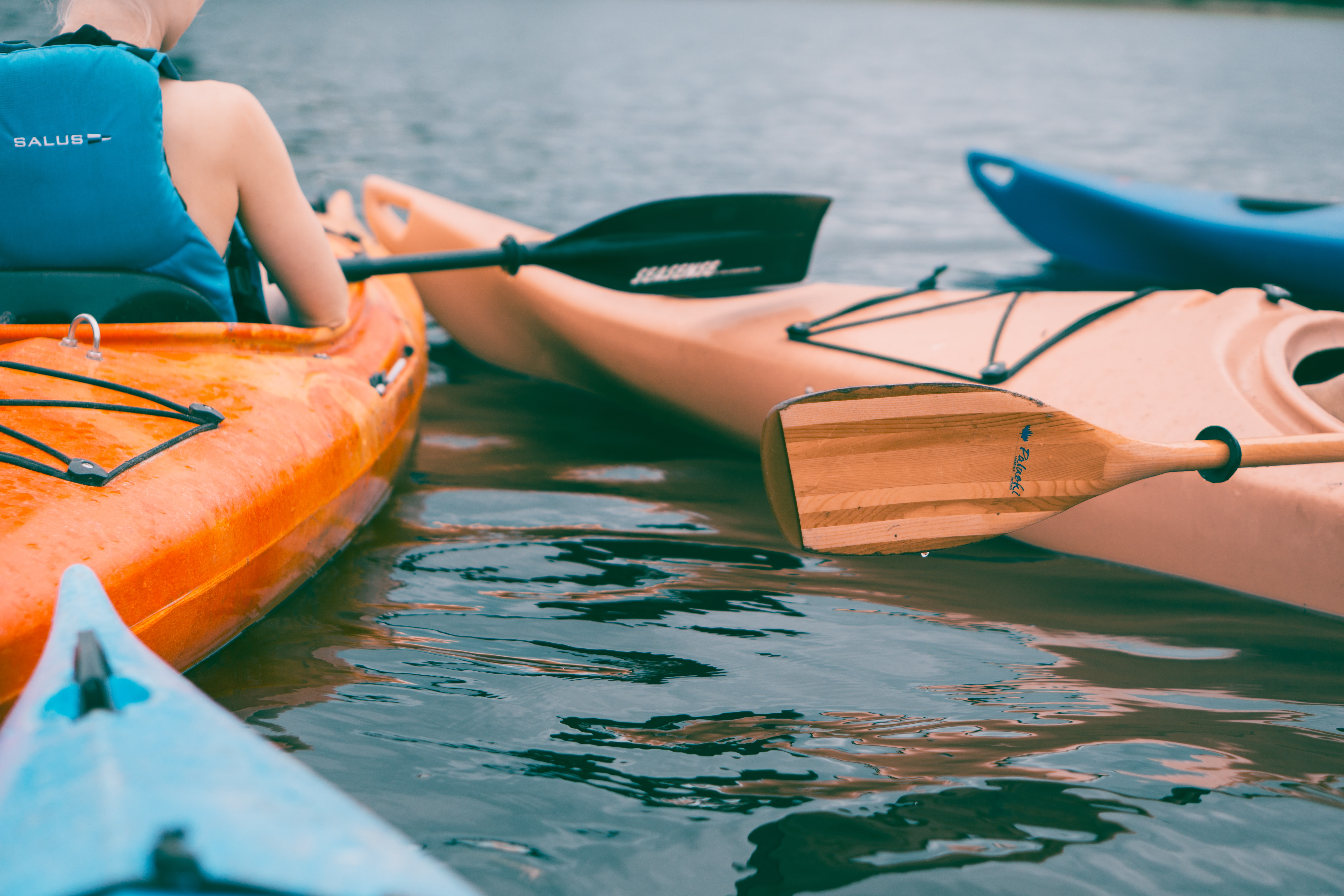 Business Spotlight: Bumblebee Kayak Co.