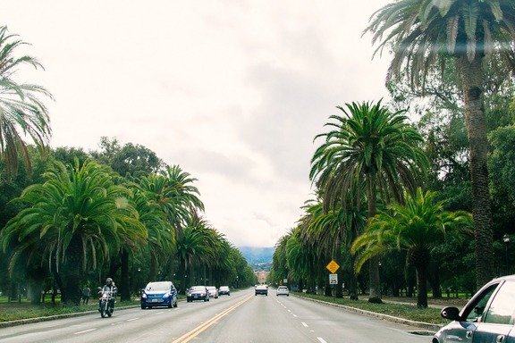 Palo Alto Roadway