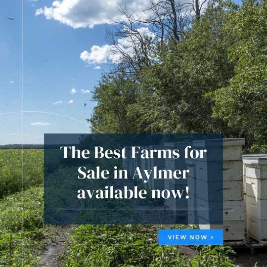 Aylmer Ontario Farms for Sale