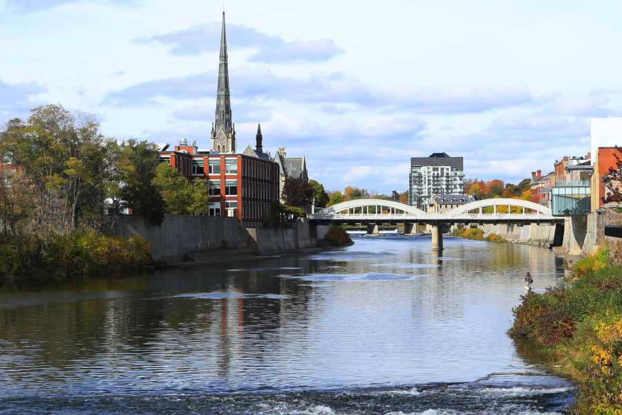 Cambridge Condos for Sale