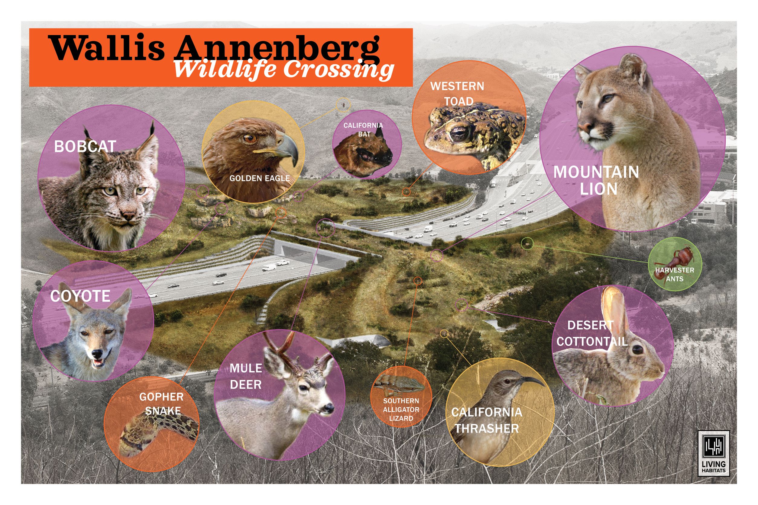 wallis-annenberg-wildlife-crossing-broke-ground-friday-april-22-2022