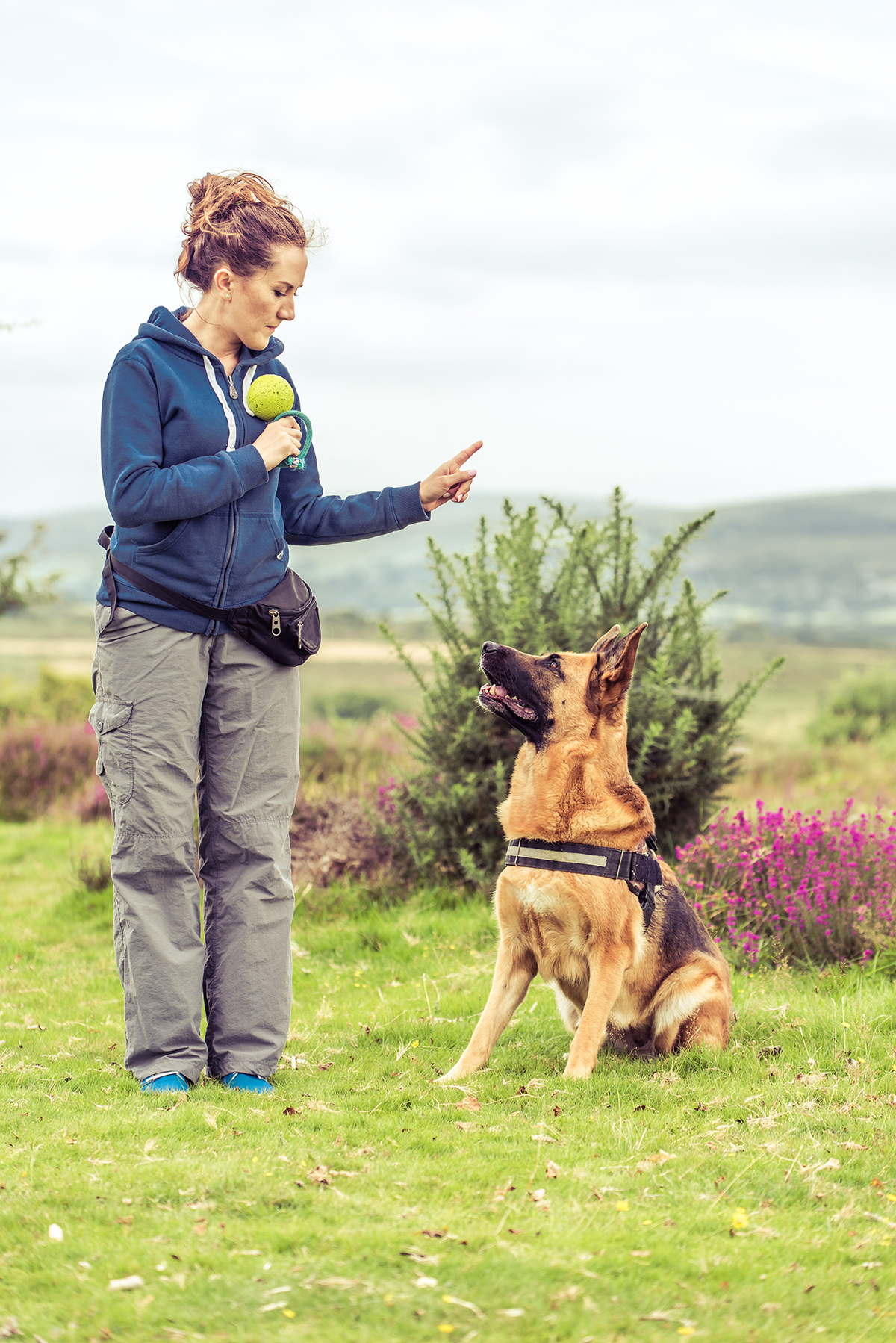 Dog trainer with German Sheppard